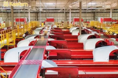 Technological Innovation Shapes a New Paradigm for Sustainable Logistics: Keefam's Green Practices under the ESG Concept Technological Innovation Shapes a New Paradigm for Sustainable Logistics: Keefam's Green Practices under the ESG Concept